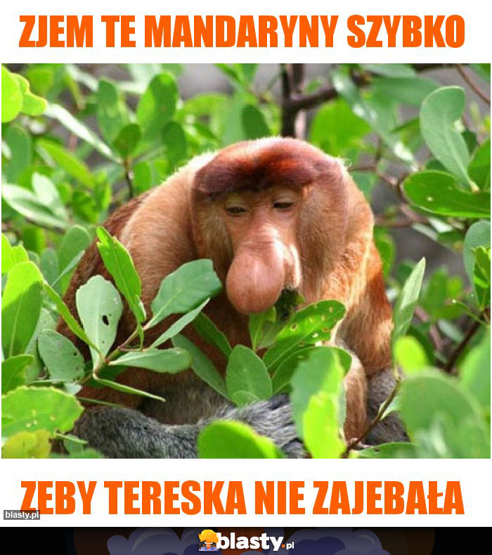 Zjem te Mandaryny szybko