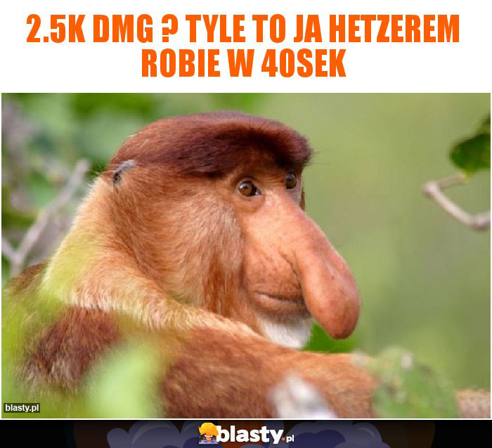 2.5k dmg ? tyle to ja hetzerem robie w 40sek