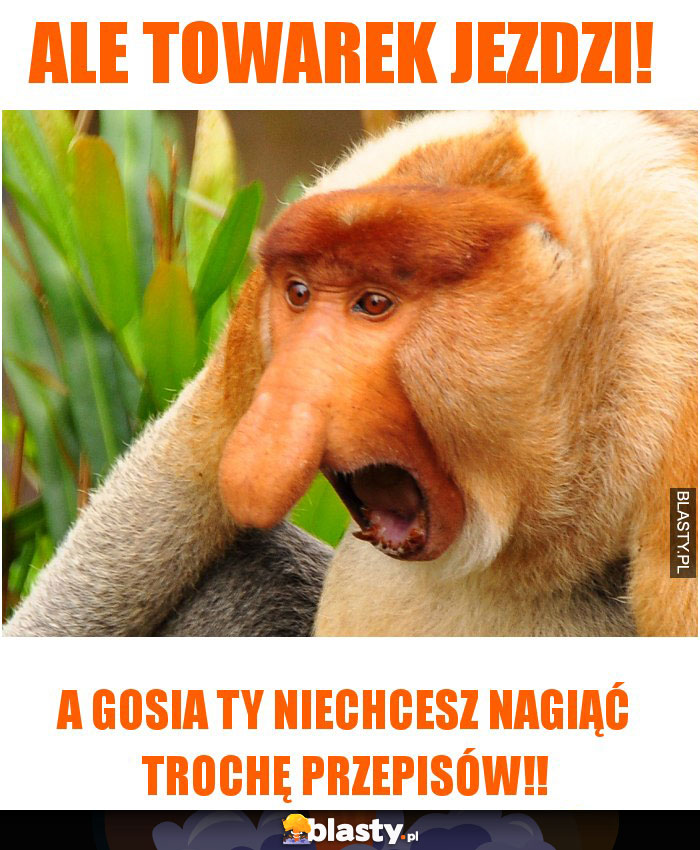 ale towarek jezdzi!