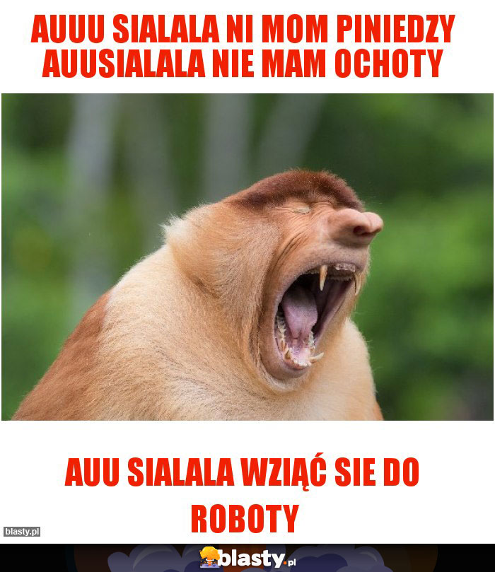 Auuu sialala ni mom piniedzy auusialala nie mam ochoty
