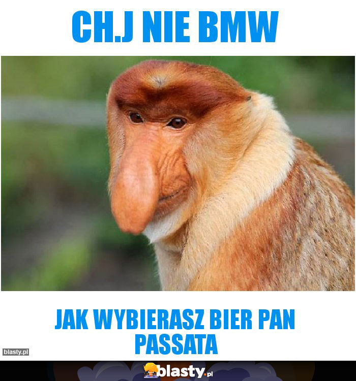 Ch.j nie bmw