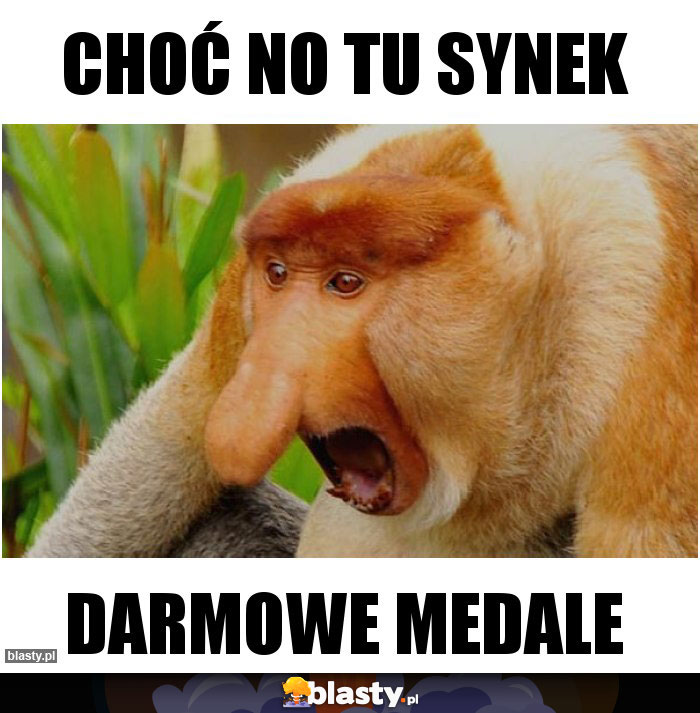 Choć no tu synek