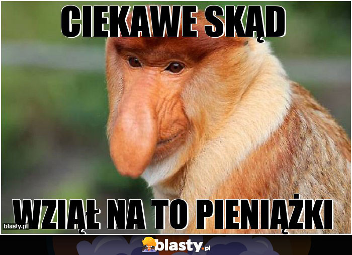 Ciekawe skąd