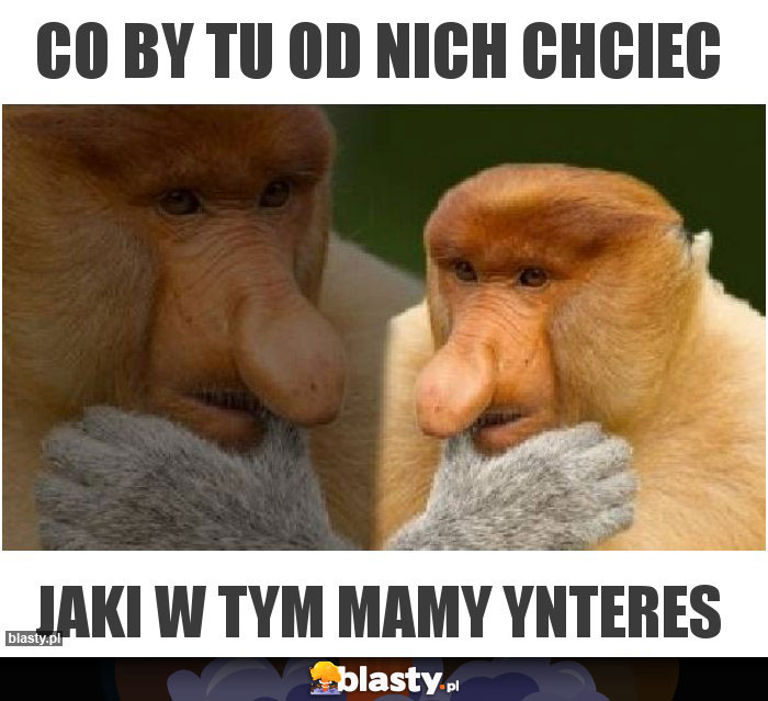 Co by tu od nich chciec