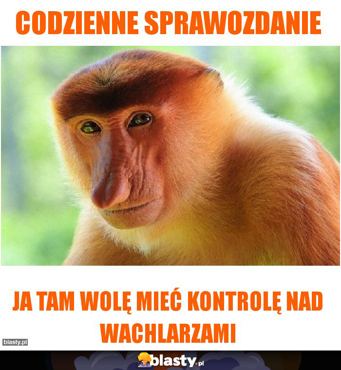 Codzienne sprawozdanie