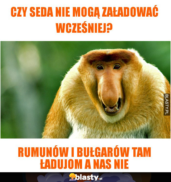 czy seda nie mogą załadować wcześniej?