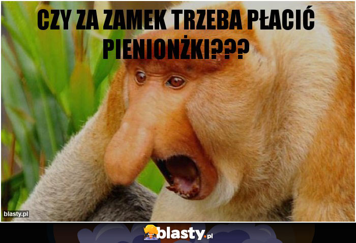 Czy za zamek trzeba płacić pienionżki???