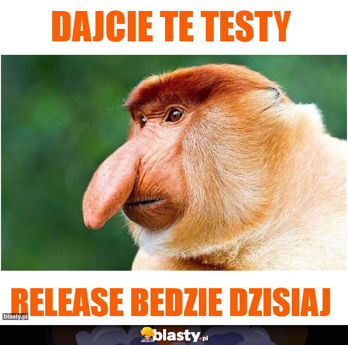 Dajcie te testy