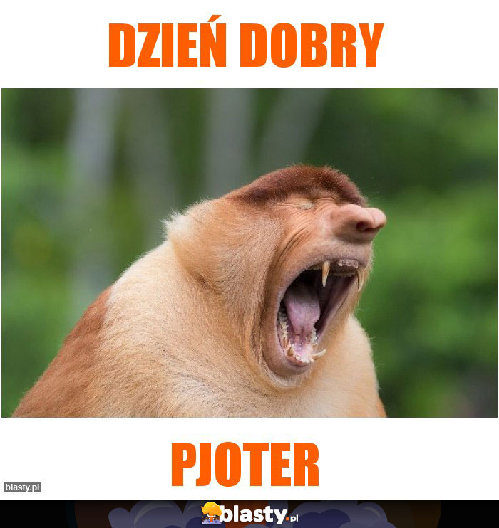 Dzień dobry