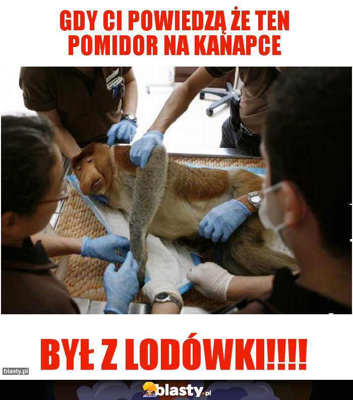 Gdy Ci powiedzą że ten pomidor na kanapce