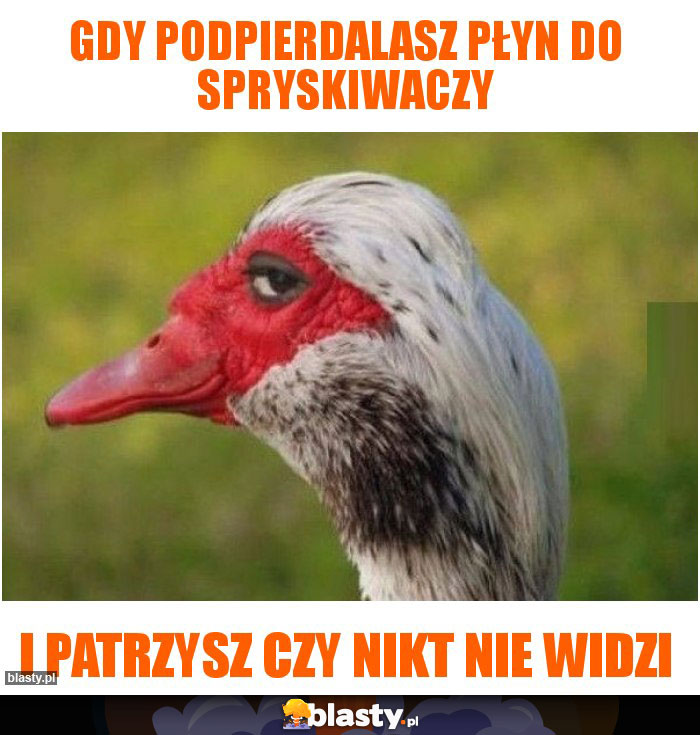Gdy podpierdalasz płyn do spryskiwaczy