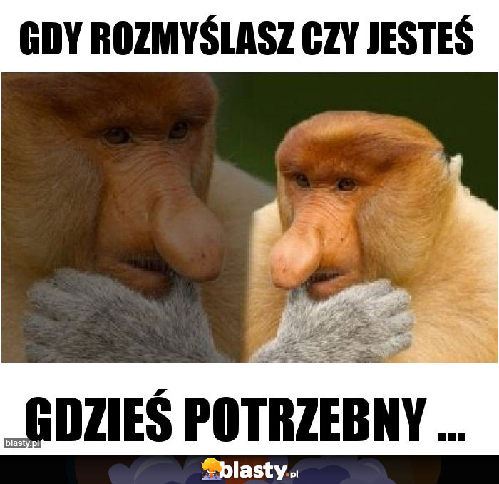 Gdy rozmyślasz czy jesteś
