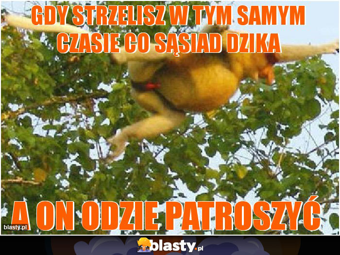 Gdy Strzelisz w tym samym czasie co sąsiad dzika