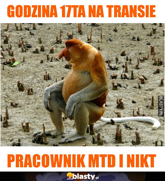 godzina 17ta na transie