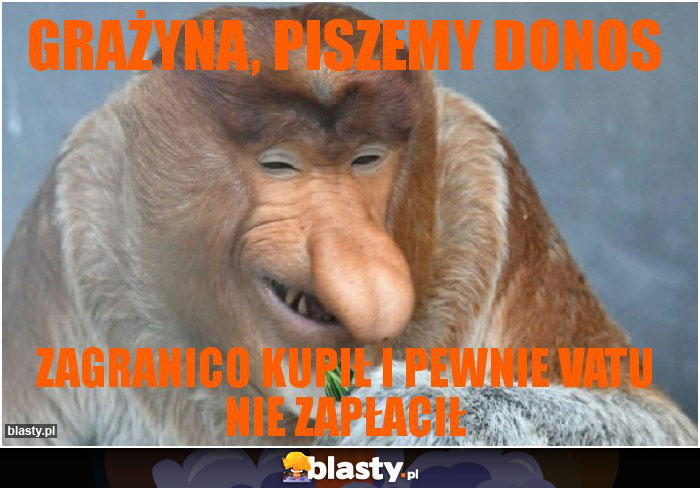 Grażyna, piszemy donos