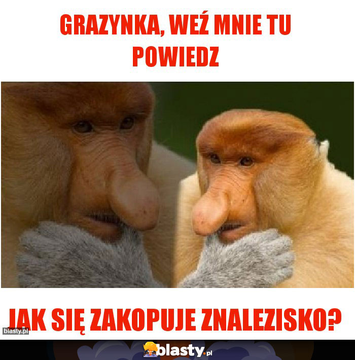 Grazynka, weź mnie tu powiedz