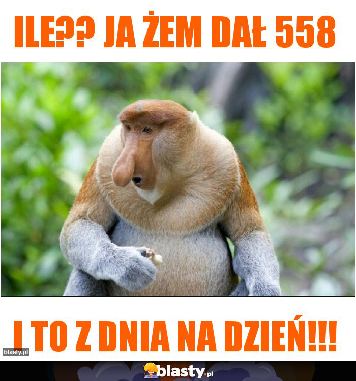 Ile?? Ja żem dał 558