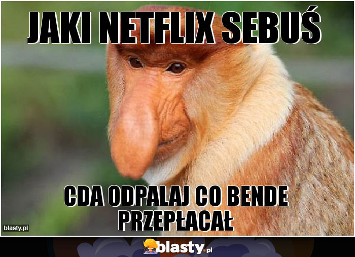 JAKI NETFLIX SEBUŚ