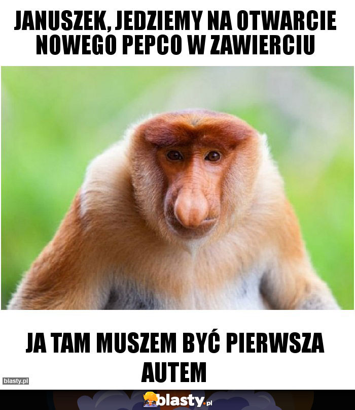 JANUSZEK, JEDZIEMY NA OTWARCIE NOWEGO PEPCO W ZAWIERCIU