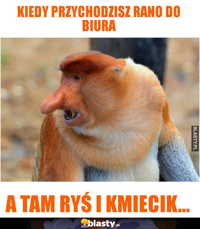 kiedy przychodzisz rano do biura
