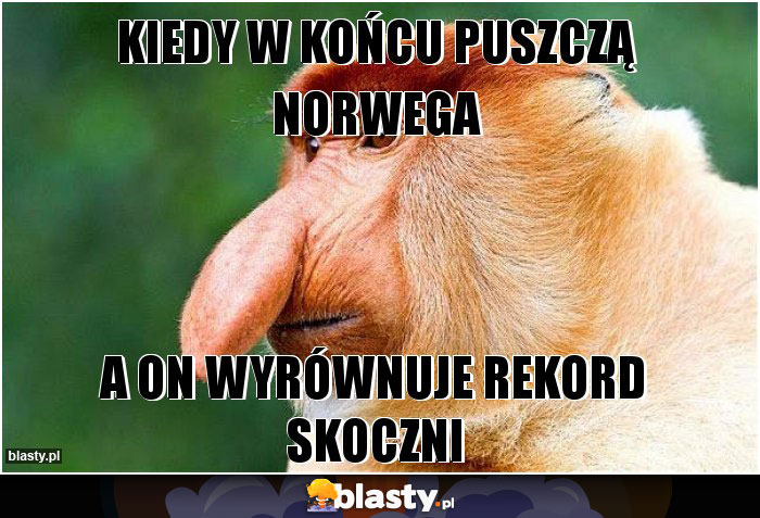Kiedy w końcu puszczą Norwega