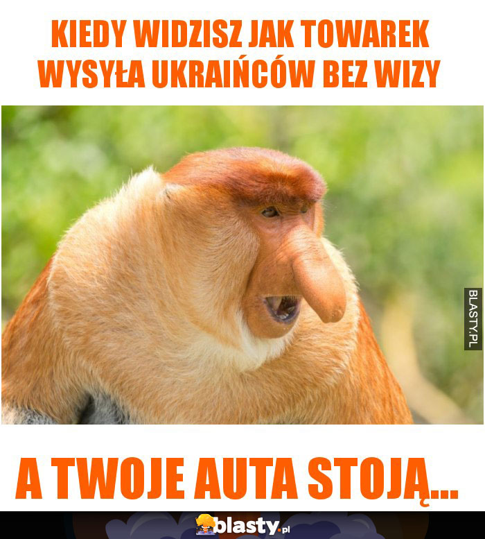 kiedy widzisz jak towarek wysyła ukraińców bez wizy