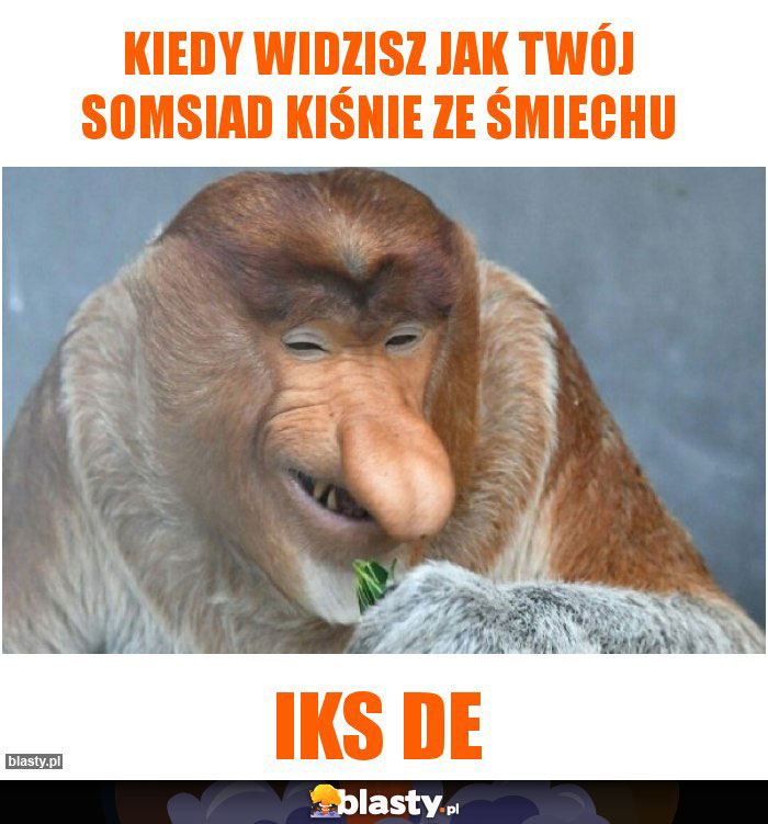 Kiedy widzisz jak twój somsiad kiśnie ze śmiechu