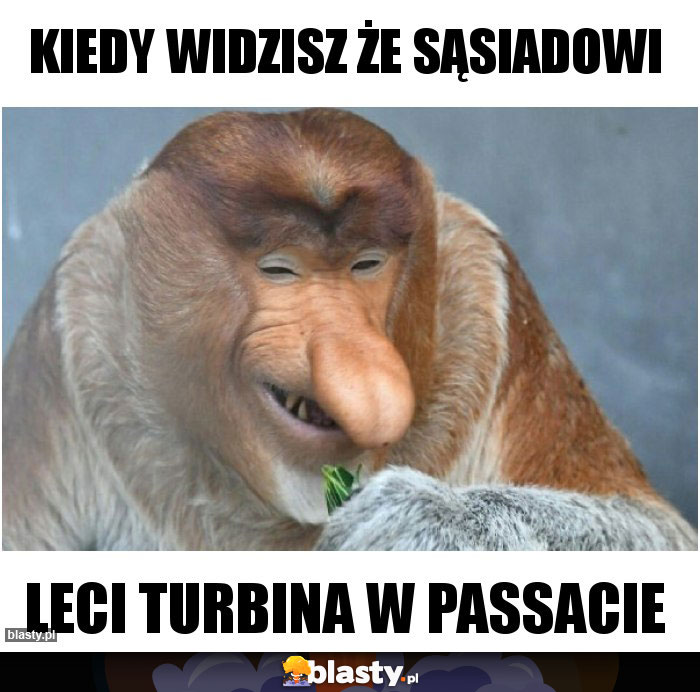 Kiedy widzisz że sąsiadowi