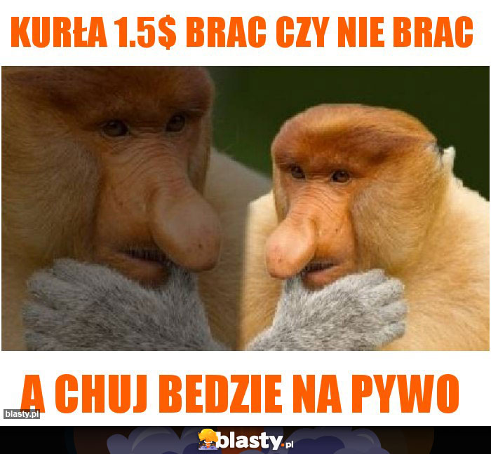 Kurła 1.5$ brac czy nie brac