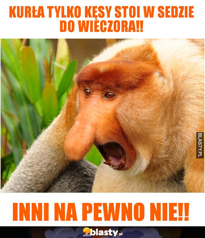 kurła tylko kęsy stoi w sedzie do wieczora!!