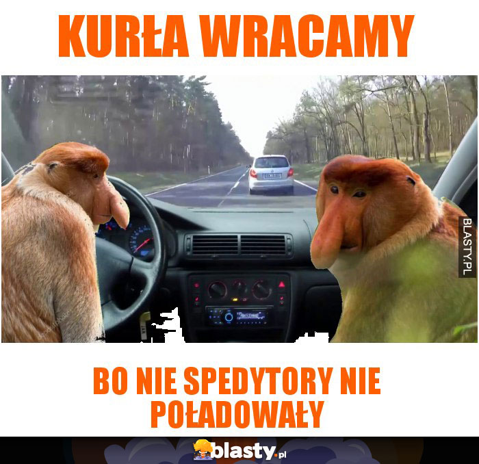 Kurła Wracamy