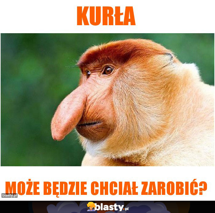 Kurła