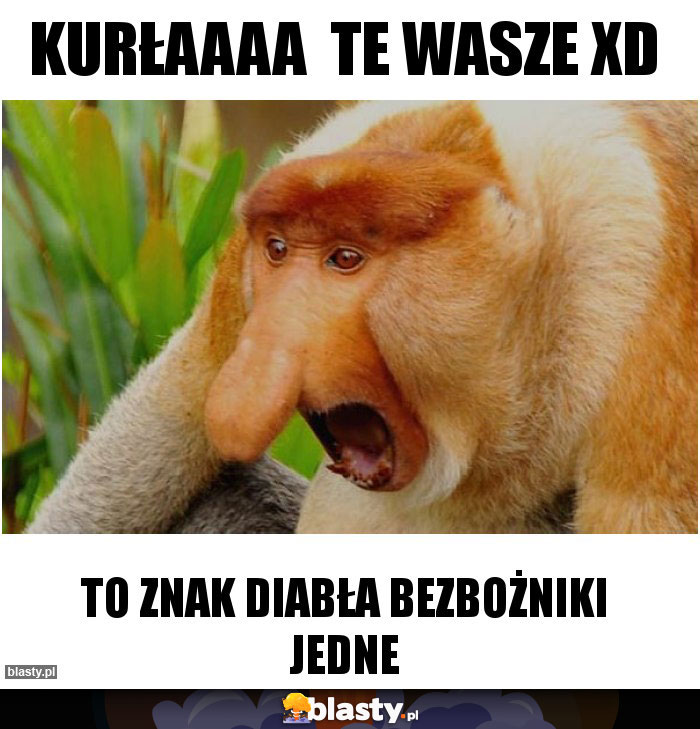 KURŁAAAA  Te wasze xD