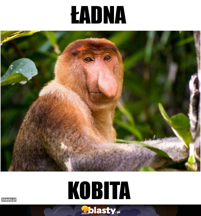 Ładna