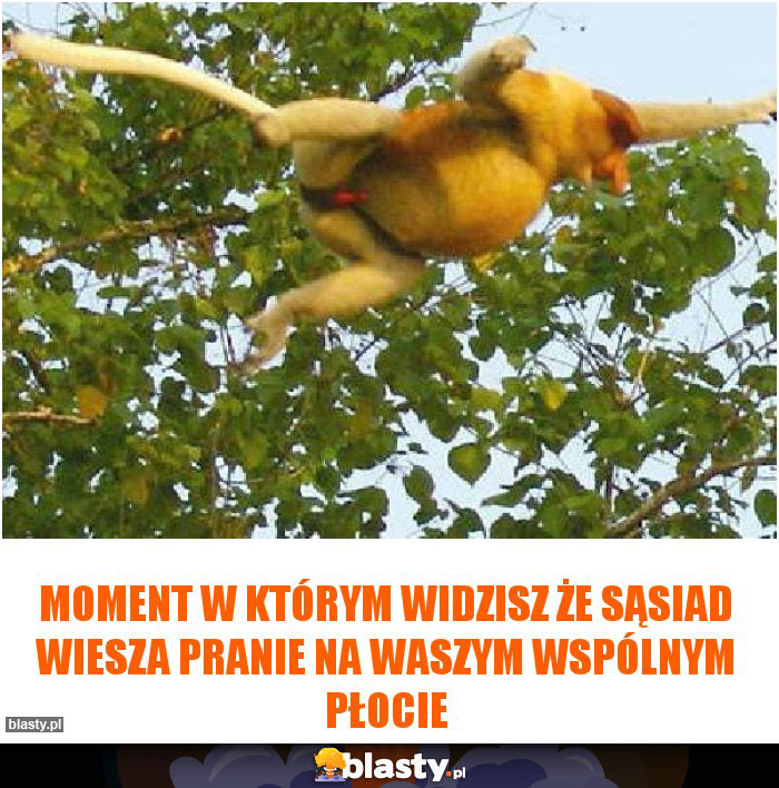 Moment w którym widzisz że sąsiad wiesza pranie na waszym wspólnym płocie