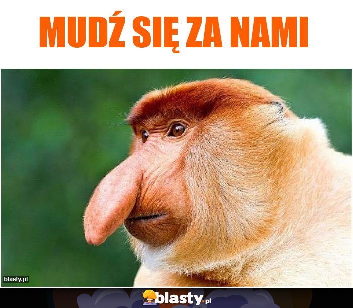 Mudź się za nami
