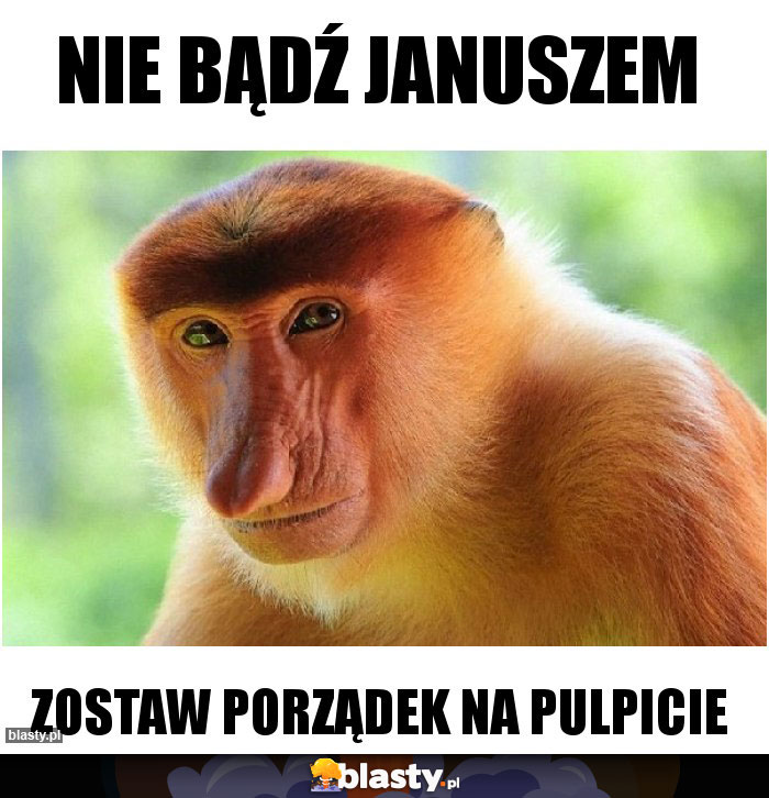 NIE BĄDŹ JANUSZEM