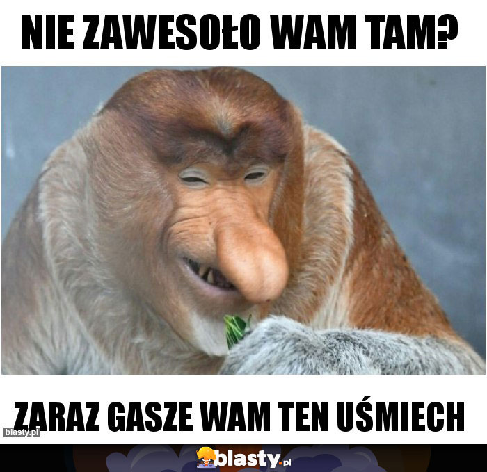 Nie zawesoło wam tam?