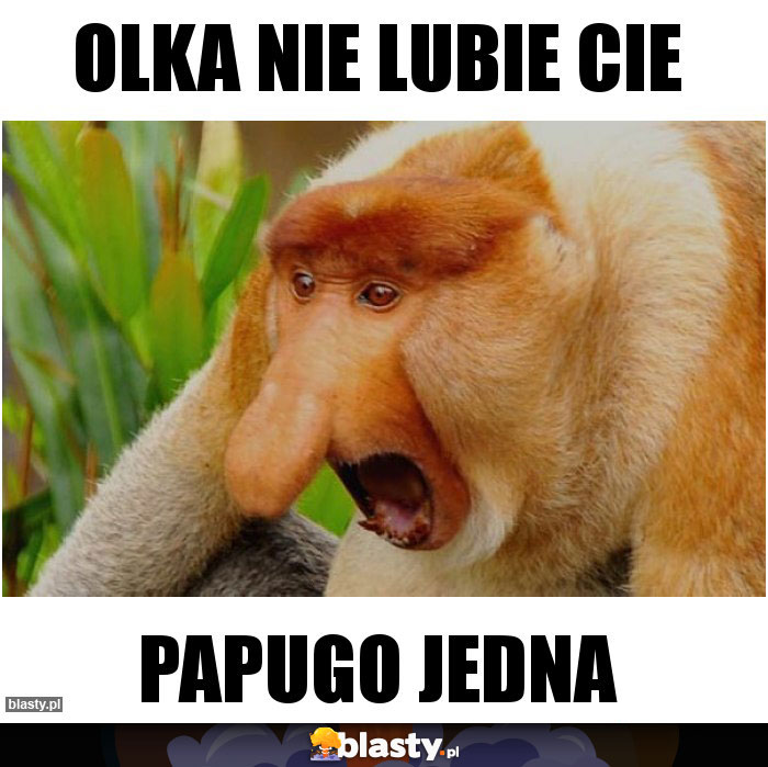 OLKA nie lubie cie