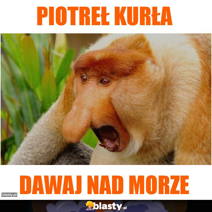 Piotreł kurła