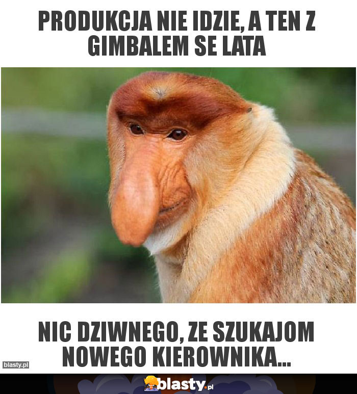 Produkcja nie idzie, a ten z gimbalem se lata