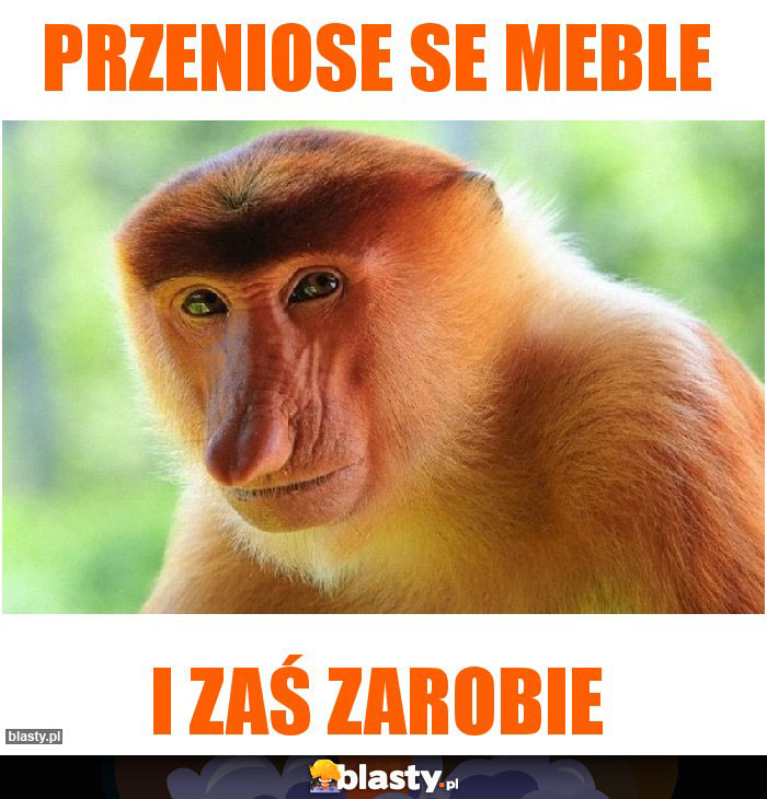 Przeniose se meble