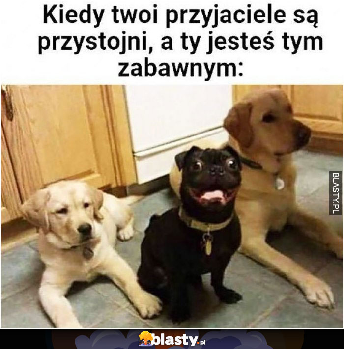 Przyjaciele