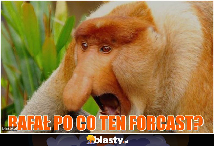 Rafał po co ten forcast?