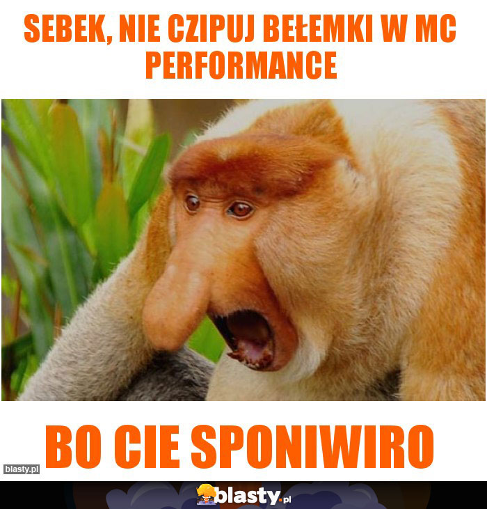 Sebek, nie czipuj bełemki w mc performance