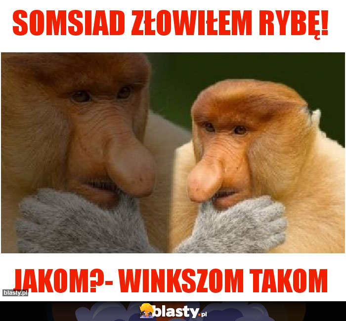 somsiad złowiłem rybę!