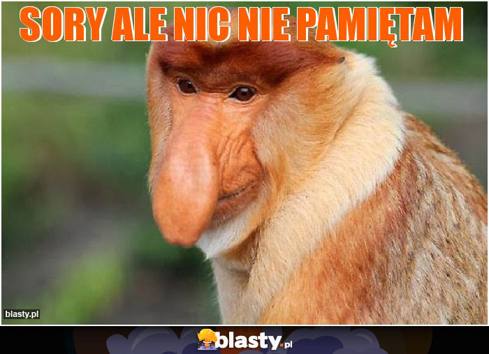 Sory ale nic nie pamiętam