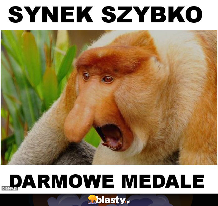 Synek szybko