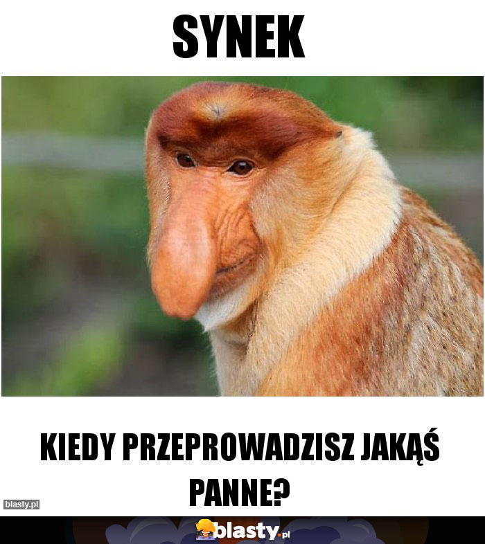 Synek