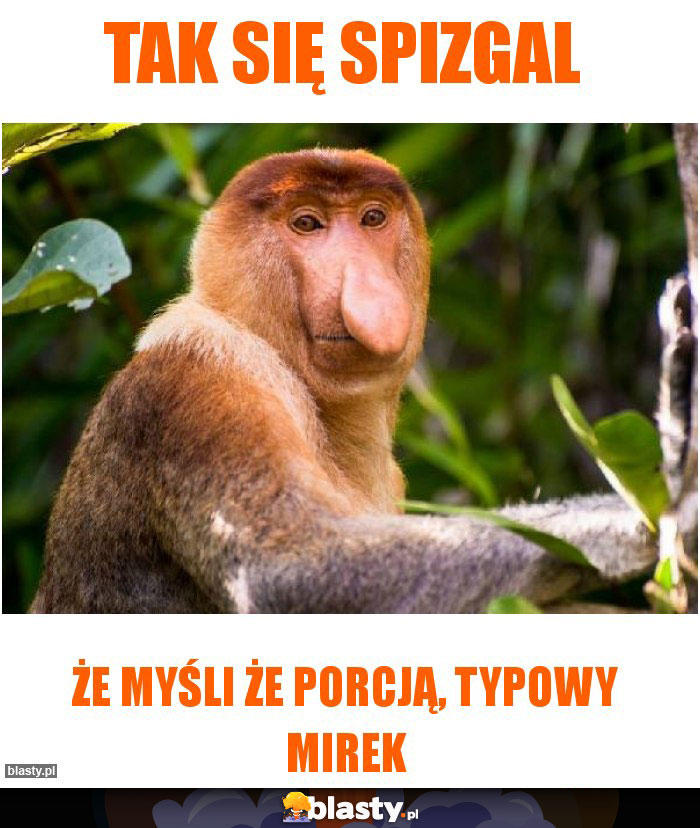 Tak się spizgal